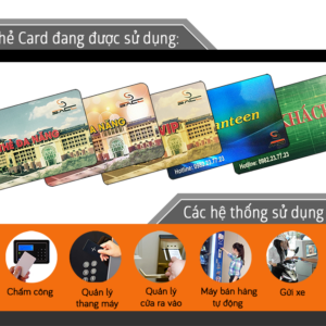 Student Card (M Card)